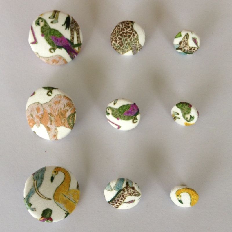 Queue for the Zoo C Knapp 