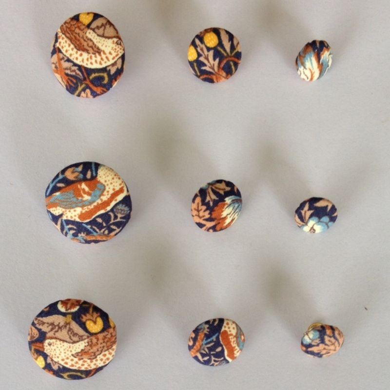 Strawberry thief C Knapp 