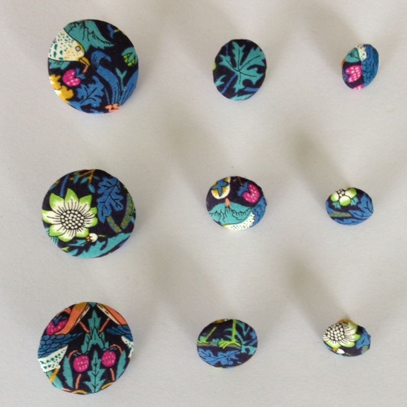 Strawberry thief J Knapp